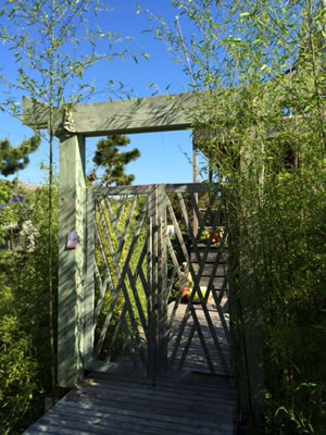 fire island pines lodging